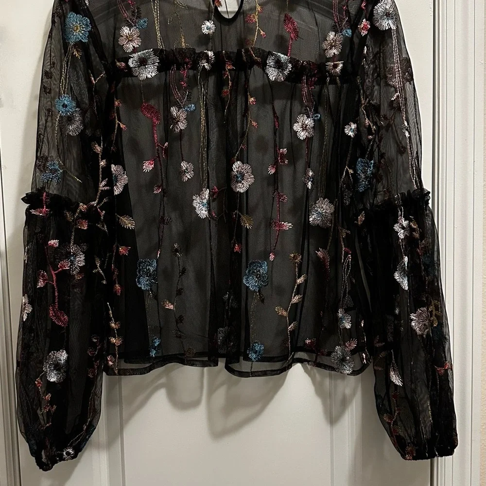 Women’s Embroidered Long Sleeve Mesh Fairy Grunge Top Size L Whimsygoth Festival - Picture 8 of 15